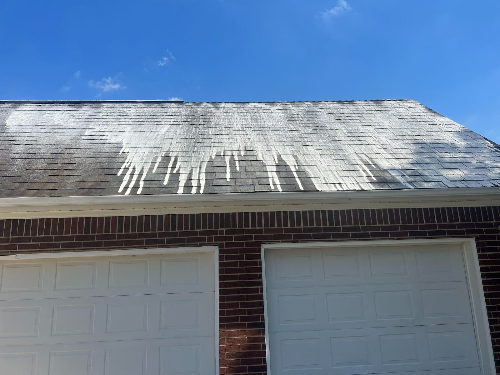 Roof Cleaning
